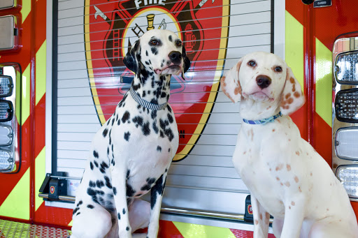 North Lexington Triangle Fire Department - Thumbnail