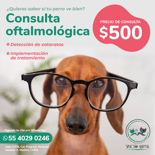 Clínica Veterinaria Spacio Animal