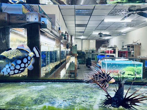 [全民水族館 水族店的外部或內部照片]