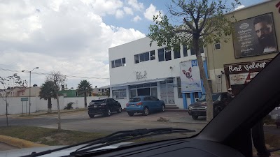 Photos of PEEK Veterinary Hospital