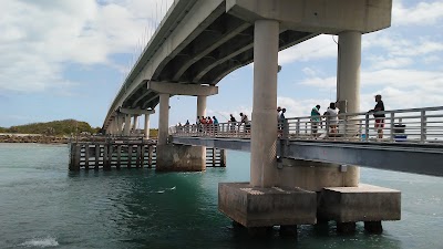 Photos of Sebastian Inlet State Park