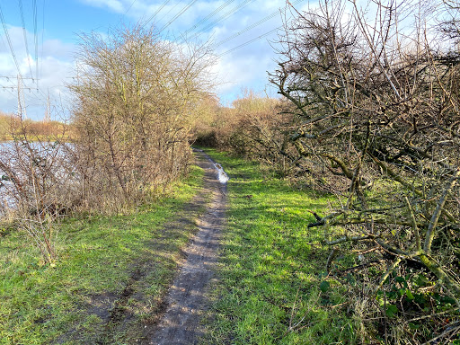Northern Ijpolder - Thumbnail