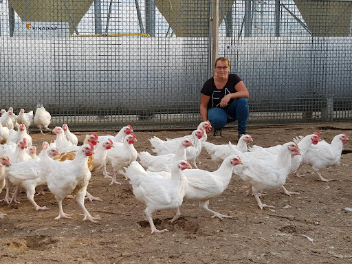 Photo 1 - Ferme URBAN