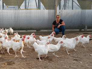 Photo n°13 de Ferme URBAN à Schwindratzheim (Maraîcher)