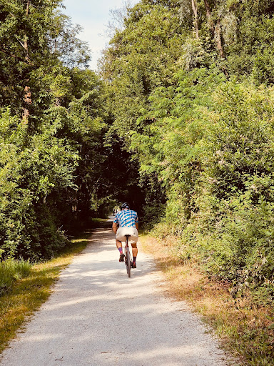 Intersezione tra "Ostiglia Ciclabile" e "Ciclovia Fiume Brenta" - Thumbnail