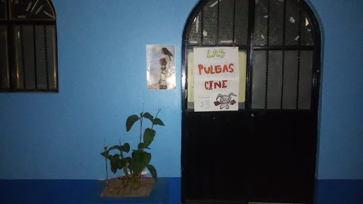 Cine las pulgas Gallery - Mexico