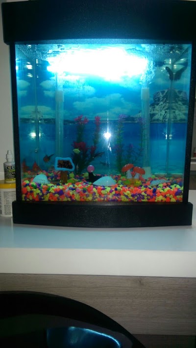 aquarium