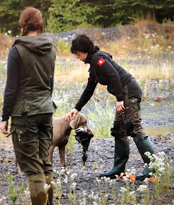 Hundeschule Jagdhundeausbildung Saar - Friedrichsthal