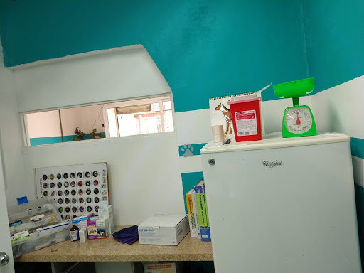 Veterinaria Animal Health Ocotlan