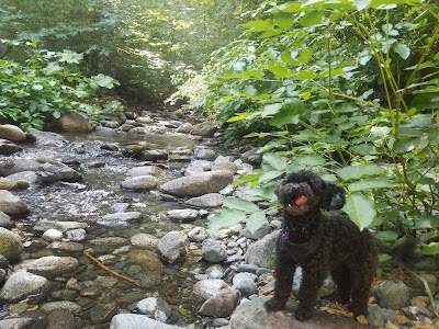 Rush Creek Campground