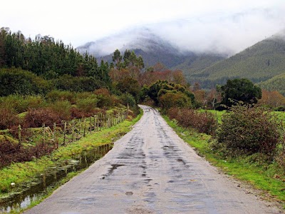 Photos of Inicio Ruta a Parque Nahuelbuta (32.5 km)