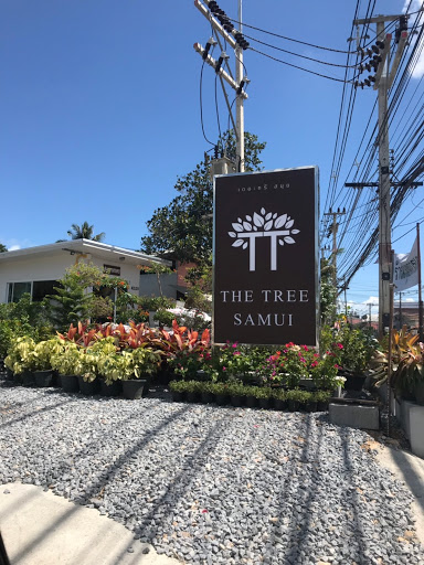 The Tree Samui