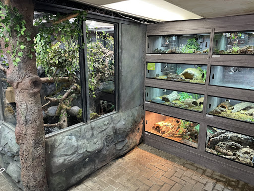 Animaltastic Henlow - Visual