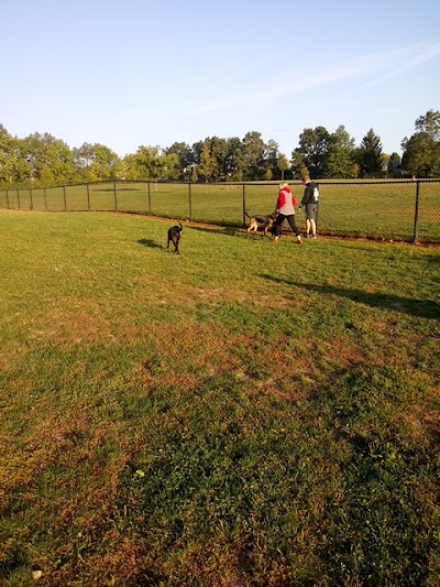 Dog park