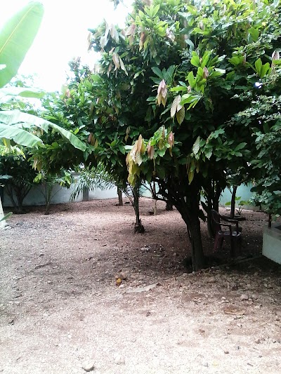Photos of Oguaa Hall
