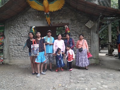 Photos of La Jungla - Villa Tunari Park