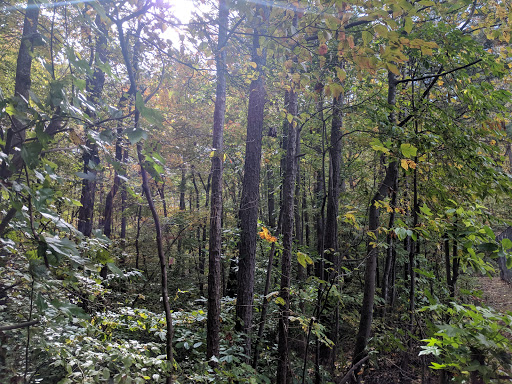 Cobb County Rhyne Park - Thumbnail