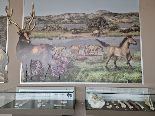 Museo de Prehistoria de Orce Gallery - Spain