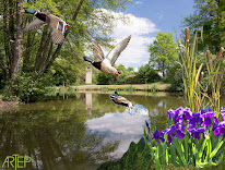 moustiquaire anti-mouches à Villars-les-Dombes