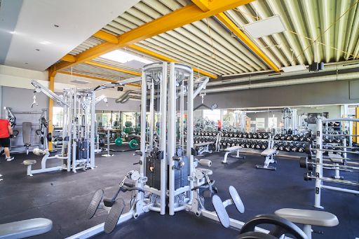 World Of Fitness 17