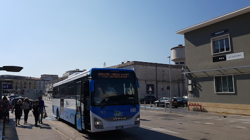 Fermata Flixbus Napoli - Thumbnail