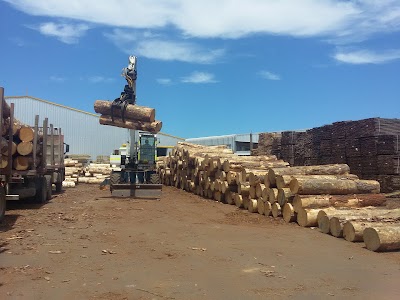 Photos of Forestal Andes Ltda.
