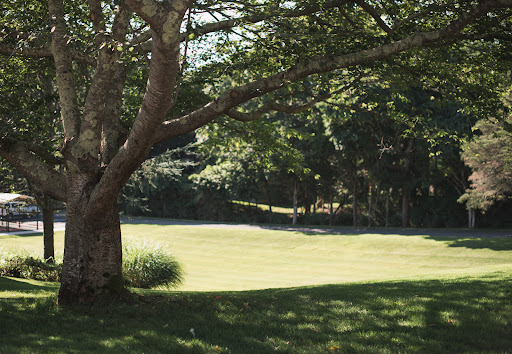 Southampton Fresh Air Home