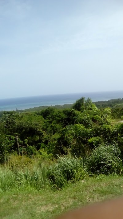 Photos of Naviera Hybur S.A.