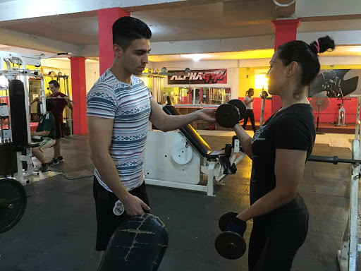 Alphagym - Visual