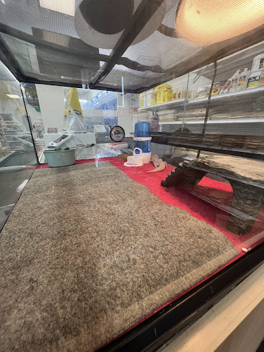 Gomez Pet Shop - Thumbnail