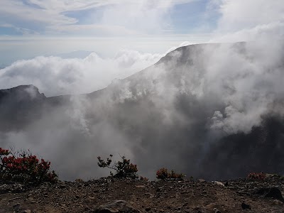 Photos of Gunung Pangrango
