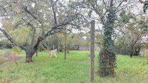 Photo n°12 de Jean-Hugues PORCHER - Immobilier SAFTI - LOUDUN à Loudun (Consultant immobilier)