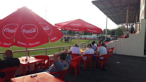Avchala Rugby Stadium Gallery - United States