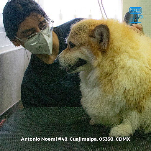Centro Integral Veterinario Santa Fe: Pet's 4 life