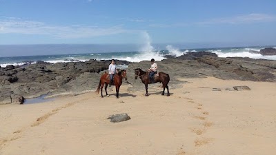 Photos of Beachcomber Horse Trails