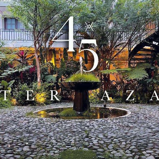 Terraza 45 - Visual