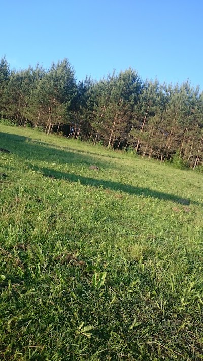 Photos of Bijotė