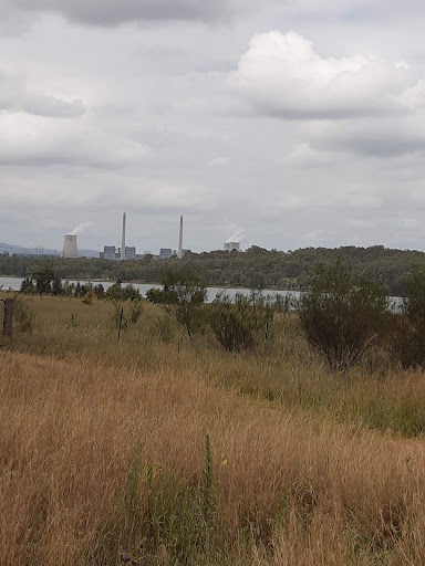 Liddell Power Station