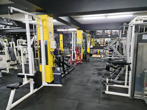 Australian Muscle The Gym 24/7 - Thumbnail