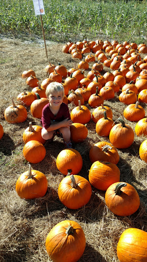 Vo-LaSalle Farms, Inc. Gallery - United States