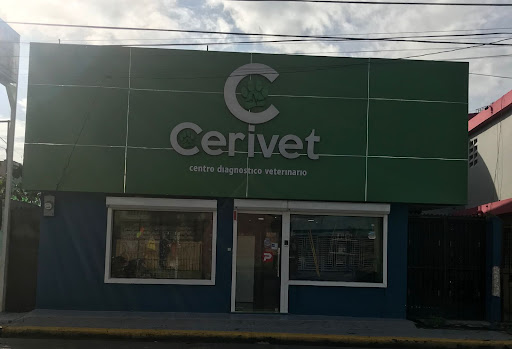 Cerivet Veterinaria