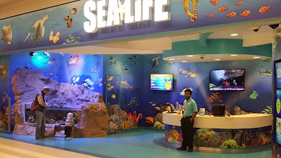 SEA LIFE at Mall of America