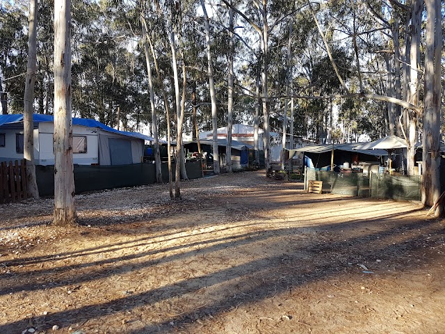 Camping Serrao's Park