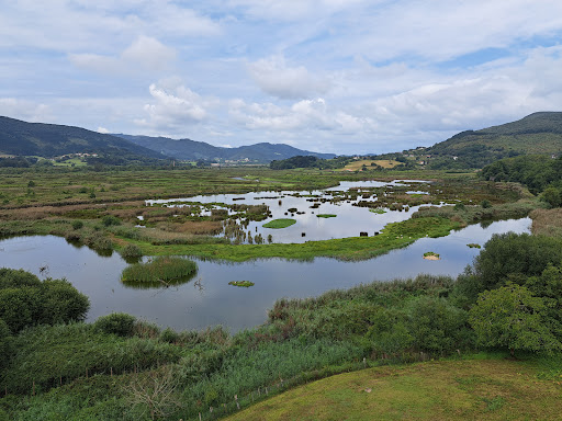 Urdaibai Bird Center - Thumbnail