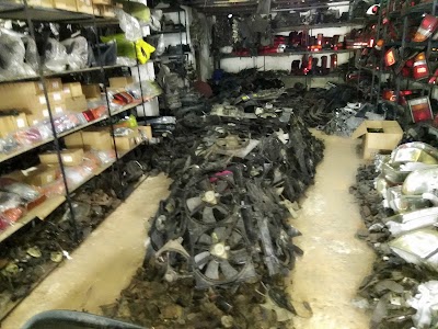 Photos of Mujeeb Motors