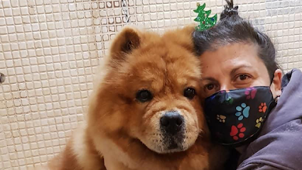 Impronte Toilette SNC