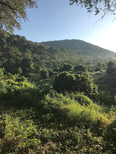 Photos of Nyalaland Trail Camp