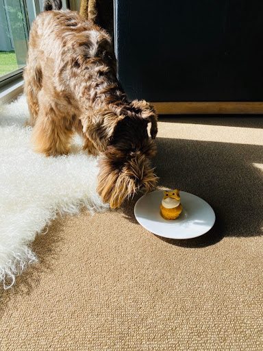 Pupcakes NZ