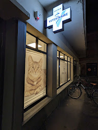 Photo n°26 de Médichat - Clinique Vétérinaire Féline à Toulouse (Clinique vétérinaire)