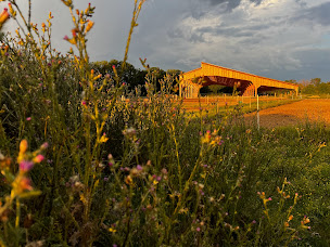 Photo n°10 de Centre Équestre - L'Ecrin D'Illusion à Eurre (Écurie)